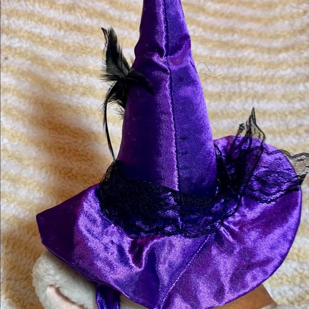 Doggy witches hat!